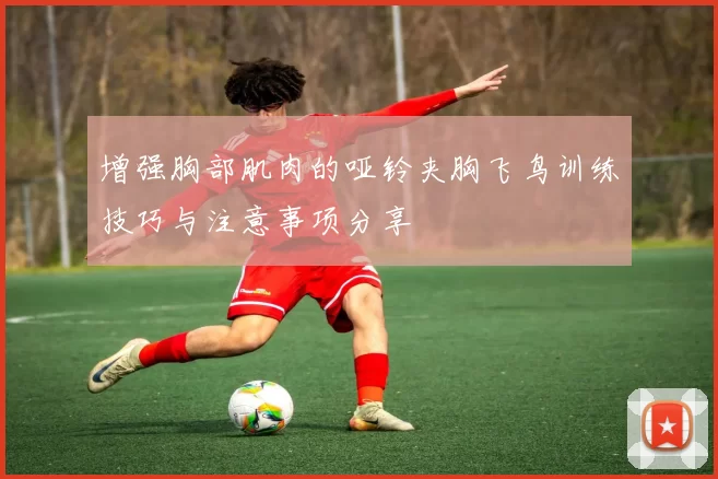 增强胸部肌肉的哑铃夹胸飞鸟训练技巧与注意事项分享