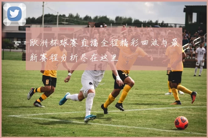 欧洲杯球赛直播全程精彩回放与最新赛程分析尽在这里