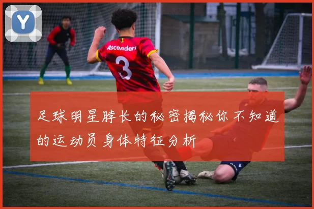 足球明星脖长的秘密揭秘你不知道的运动员身体特征分析