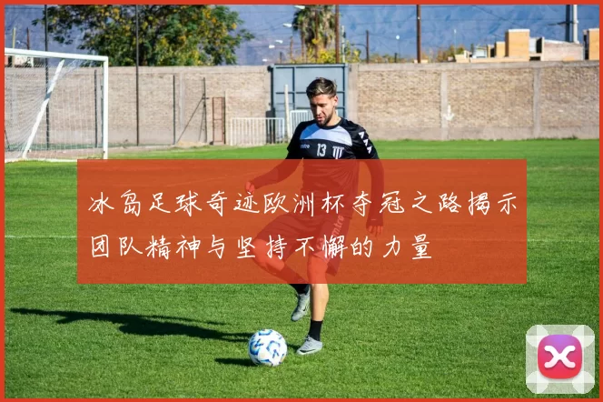 冰岛足球奇迹欧洲杯夺冠之路揭示团队精神与坚持不懈的力量