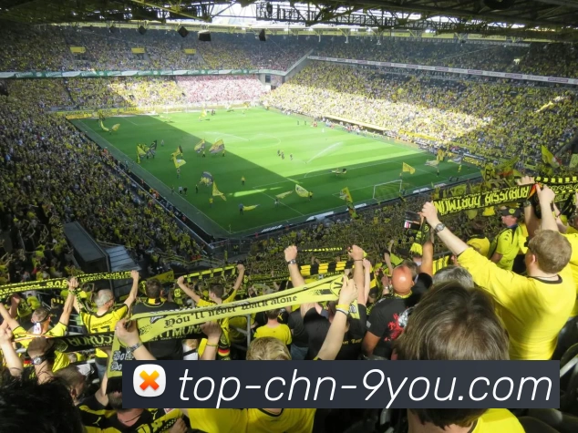 JIUYOU平台生态图